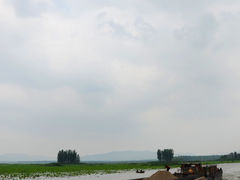 DSC_0989副本-微山湖红荷湿地景区