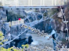 -百里山水画廊乌龙峡谷