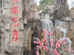 -秀丽东方