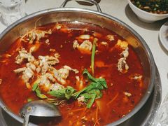 -蛙蛙鸡冷锅鱼(驷马桥店)