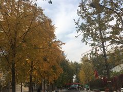 -北京化工大学(东校区)