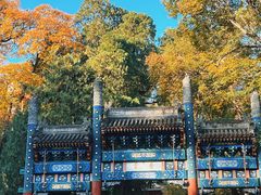 -香山公园