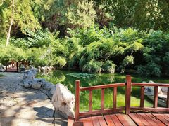 -原山国家森林公园