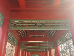 -长春市南湖公园