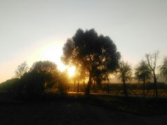 景点-野鸭湖国家湿地公园