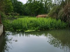 -桤木河湿地公园