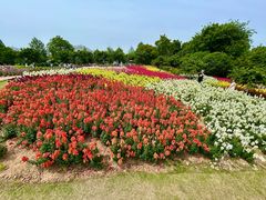 -宁波野生动物园