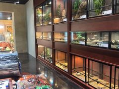 -帕帕拉兹宠物(亚洲旗舰店)