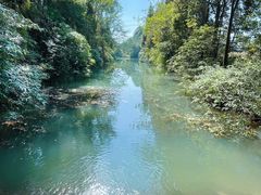 -桤木河湿地公园