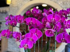 -顺德了能馆(虎门店)