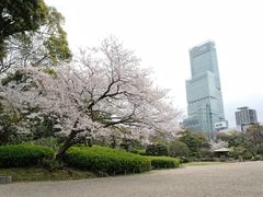 -天王寺公园