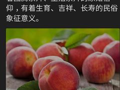 -肯德基(平江新城店)