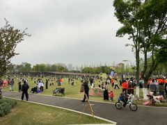 -府河摄影公园
