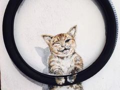 -槟城街头艺术街区