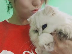 -李小姐の猫咖啡馆(五角场店)
