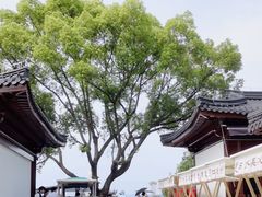 -东钱湖小普陀景区