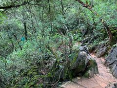 -普者黑风景区-青龙山