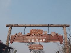 -田园东方蜜桃村的田野营地