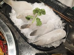 极品耗儿鱼-小王少龙火锅(沙南街店)