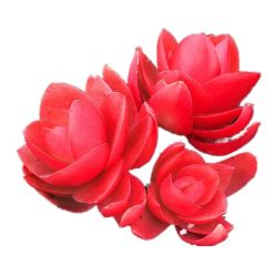 -Oasis Beauty水磨坊科技美肤中心