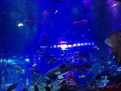 -沈阳海洋探索中心