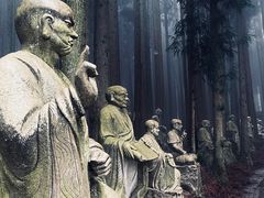 -武陵山森林公园