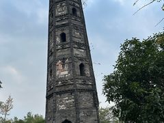 -上海佘山国家森林公园天马山园