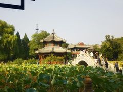 -莲池书院博物馆