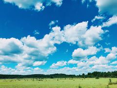 -塞罕坝国家级自然保护区