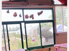 -青浦采草莓天天草莓园