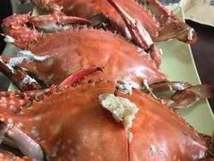 -大锅强·蒸海鲜青岛菜(吾悦广场店)