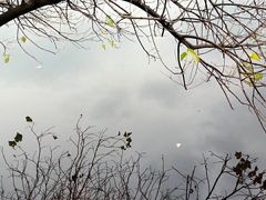 -重庆彩云湖湿地公园