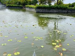 -嬉乐湾休闲旅游区