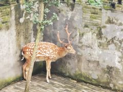 -台州府城(江南长城)