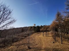 -北京鹫峰国家森林公园