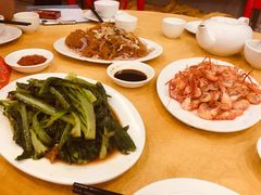 -鸿达渔港