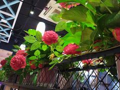 -小城外婆肴私房菜.家宴聚集点(圆明园颐和园·清河上地店)