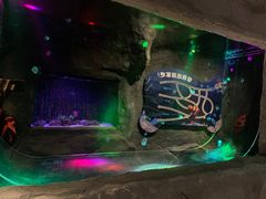-MR.ZOO小小动物元室内动物园(沈阳沈河盛京中心)