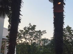 -棕榈阁·巴西烤肉海鲜自助餐厅(中州皇冠假日酒店)