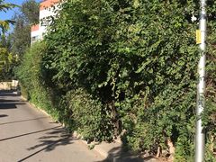 -斯多格书乡(北京大学畅春园店)
