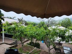-桃源山庄·水蜜桃采摘·柴火鸡·烧烤团建(龙泉山店)
