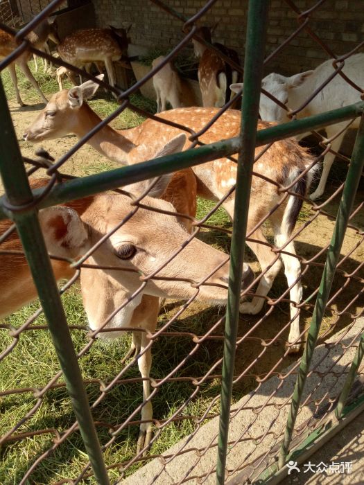 蘭州市動物園圖片 - 第4張