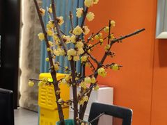 -写庭·鱼鲜川菜·宴请(铁像寺水街店)