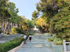 -深圳国际园林花卉博览园