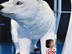 -泉城欧乐堡海洋极地世界