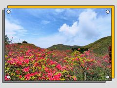 -大围山国家森林公园