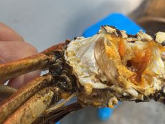 -喜洋洋蟹庄(阳澄湖店)