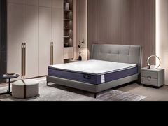 -索菲亚衣柜橱柜全屋定制(真北红星店)