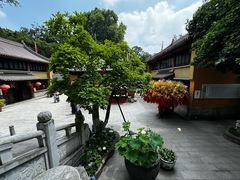 -灵谷景区