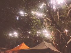 -清迈夜间动物园